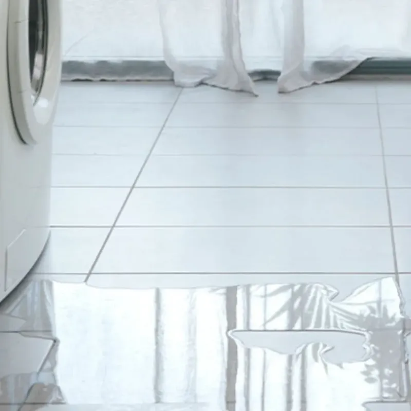 Appliance Leak Cleanup in Palmyra, VA