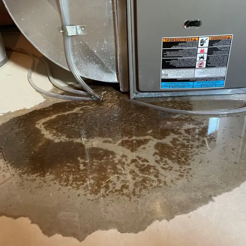 Pipe Burst and Leak Restoration in Palmyra, VA